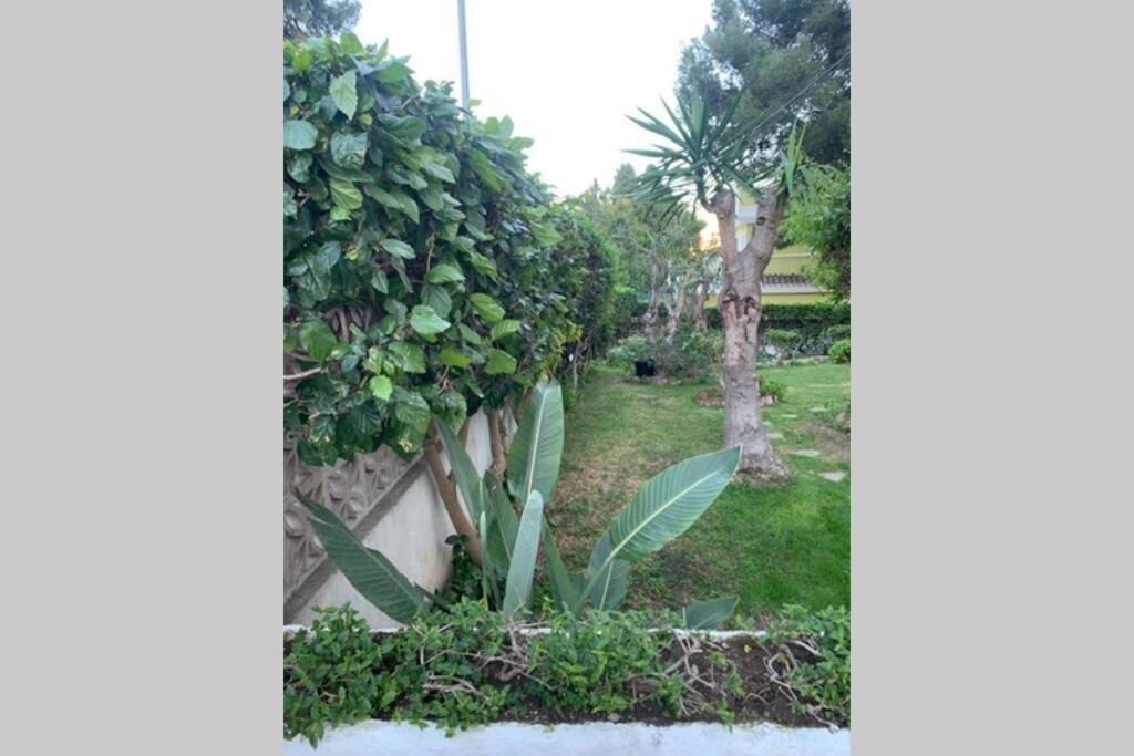 Apartamento La Dorada Torremolinos Dış mekan fotoğraf